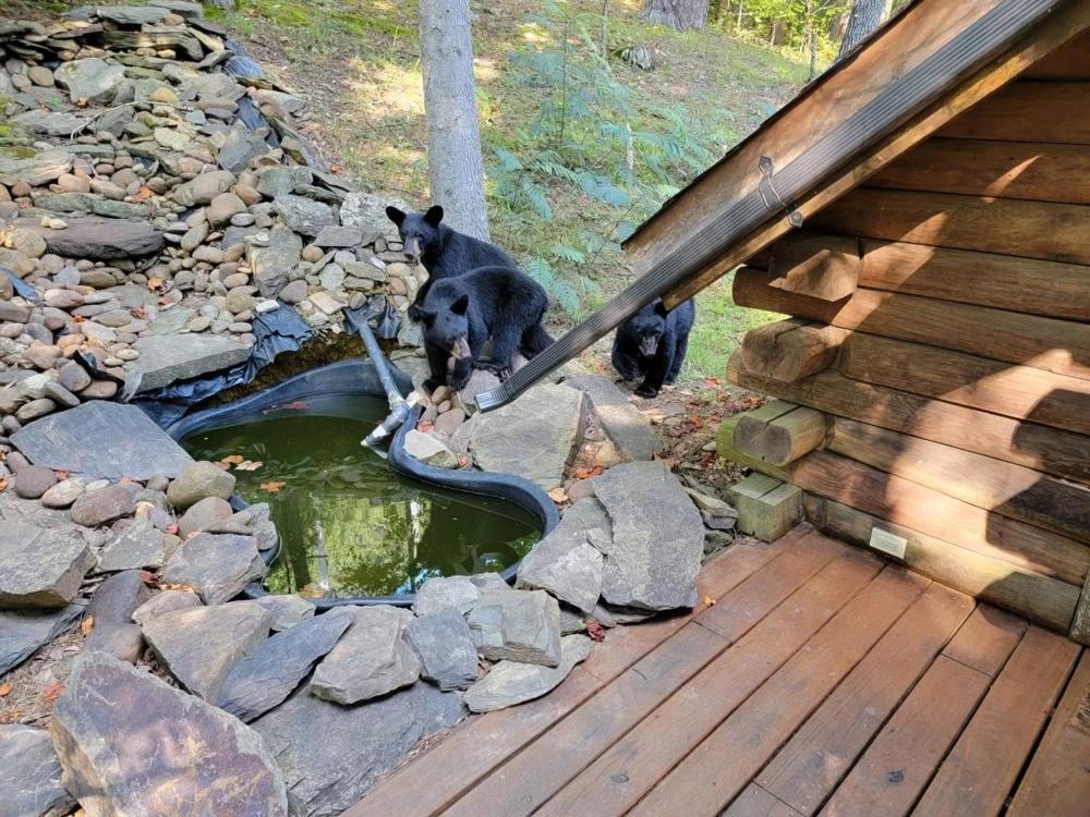 Very Private, Real Log Cabin With Hot Tub! Сев'єрвілл Екстер'єр фото