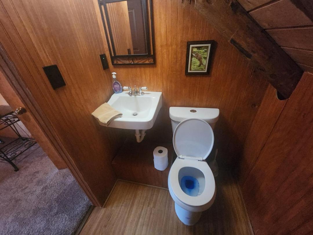 Very Private, Real Log Cabin With Hot Tub! Сев'єрвілл Екстер'єр фото